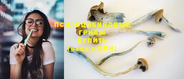 молекула духа Баксан